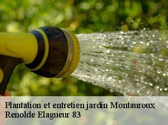 Plantation et entretien jardin 83440