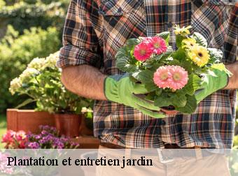 Plantation et entretien jardin 83440