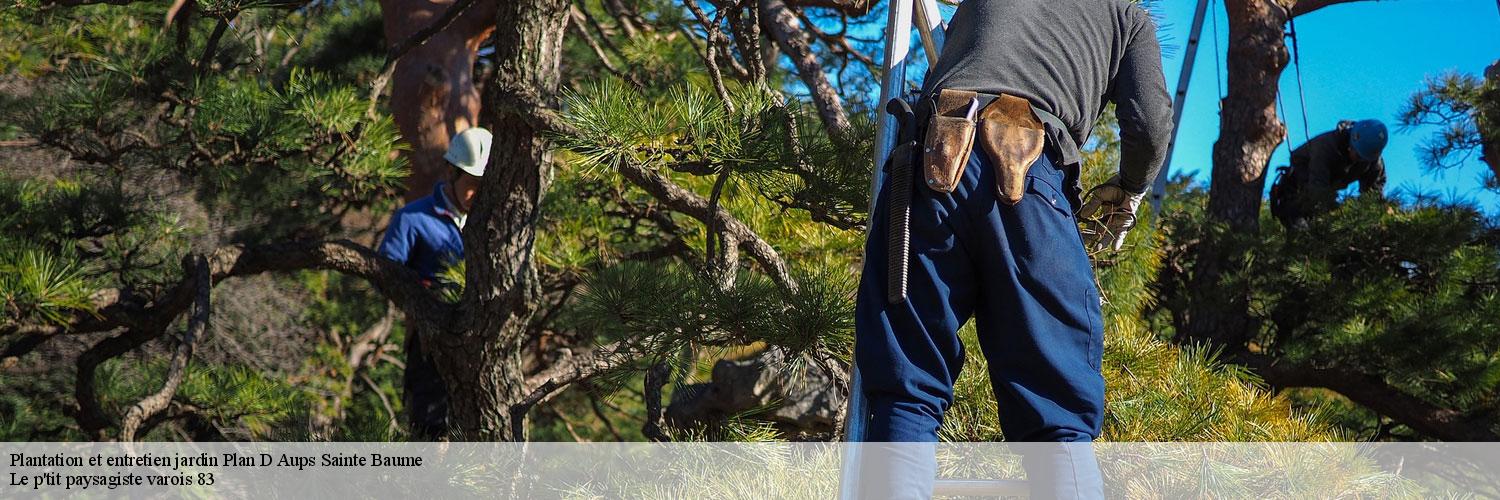 Plantation et entretien jardin 83640