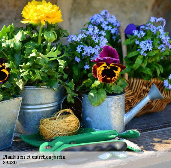 Plantation et entretien jardin  83480