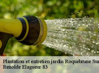 Plantation et entretien jardin 83520