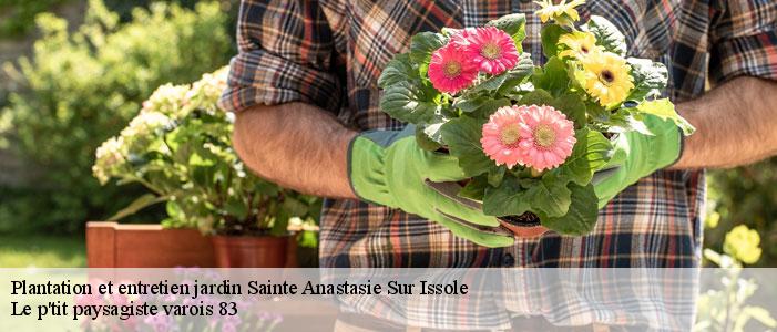 Plantation et entretien jardin 83136
