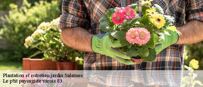 Plantation et entretien jardin  83690