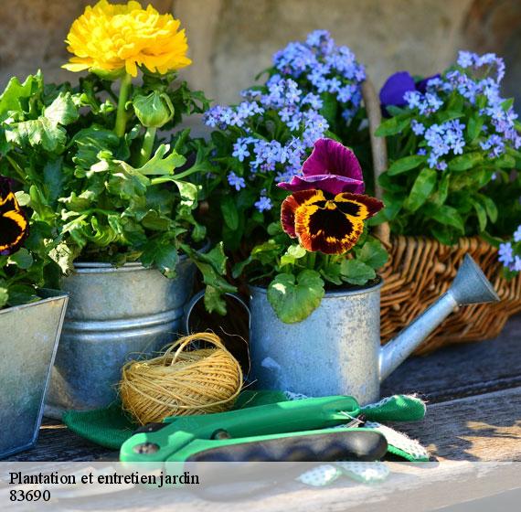 Plantation et entretien jardin  83690