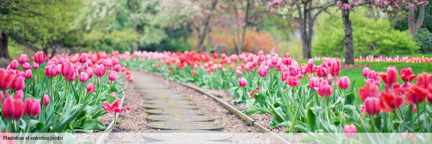 Plantation et entretien jardin  83110