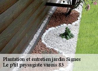 Plantation et entretien jardin signes-83870 Le p'tit paysagiste varois 83