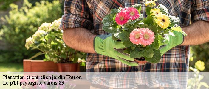 Plantation et entretien jardin  83000