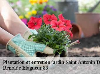 Plantation et entretien jardin saint-antonin-du-var-83510 Renolde Elagueur 83