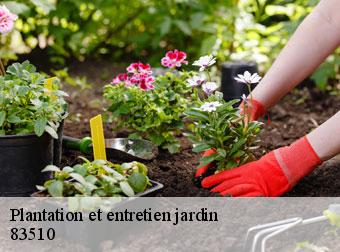 Plantation et entretien jardin 83510