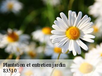 Plantation et entretien jardin 83510
