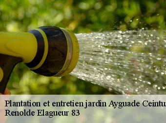 Plantation et entretien jardin 83400