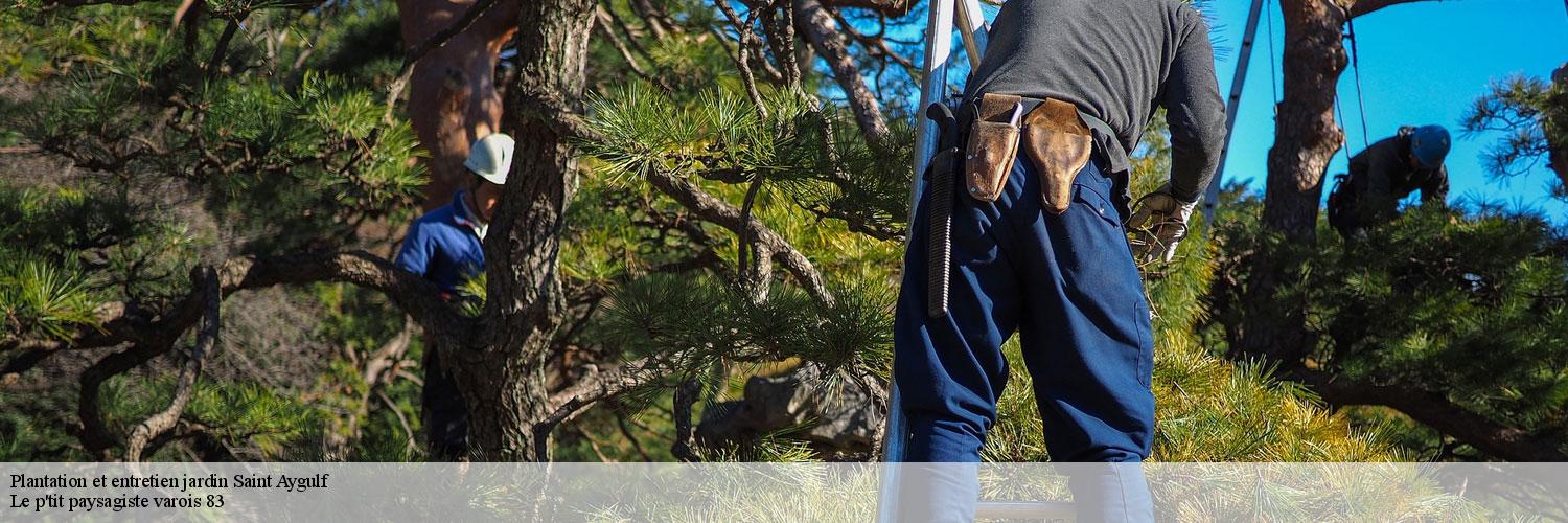 Plantation et entretien jardin  83370