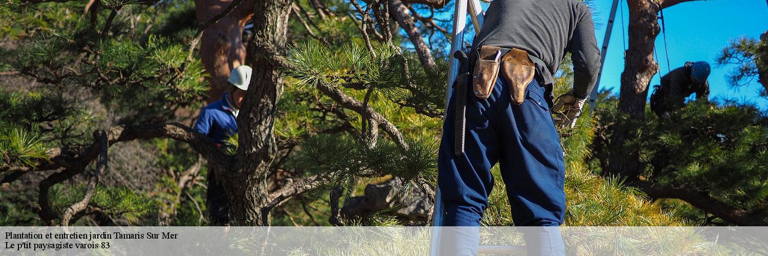 Plantation et entretien jardin 83500