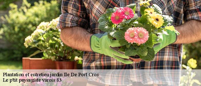 Plantation et entretien jardin 83400
