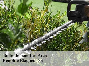 Taille de haie 83460