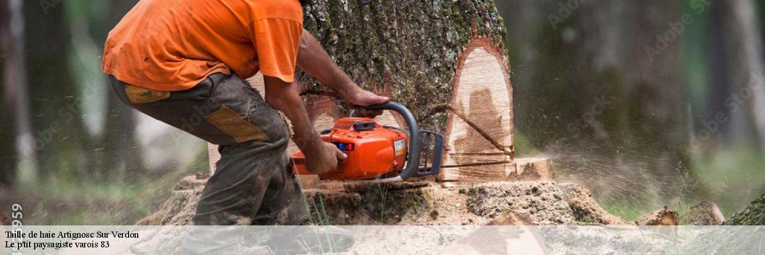 Taille de haie  83630