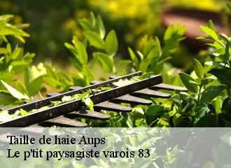 Taille de haie aups-83630 Le p'tit paysagiste varois 83