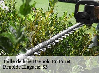 Taille de haie 83600