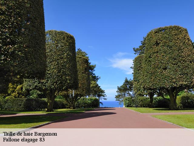 Taille de haie bargemon-83830 Fallone elagage 83