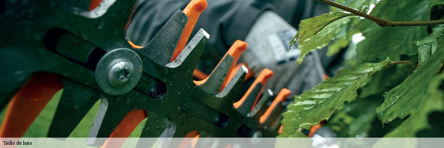 Taille de haie  83670