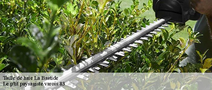 Taille de haie  83840
