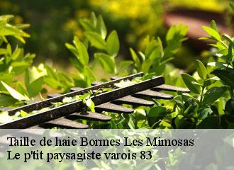 Taille de haie bormes-les-mimosas-83230 Le p'tit paysagiste varois 83