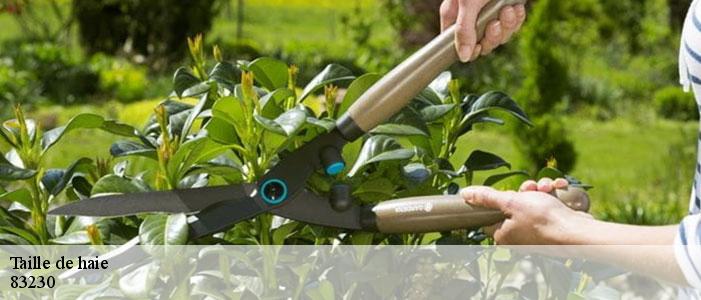 Taille de haie 83230