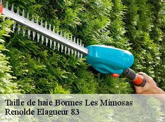 Taille de haie bormes-les-mimosas-83230 Renolde Elagueur 83
