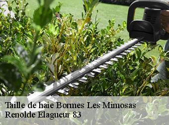 Taille de haie 83230