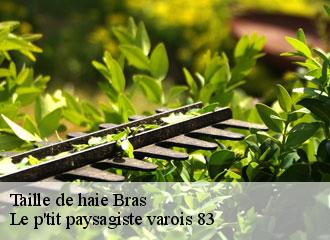 Taille de haie  bras-83149 Le p'tit paysagiste varois 83