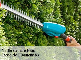 Taille de haie  bras-83149 Renolde Elagueur 83