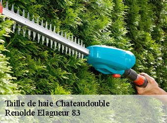 Taille de haie chateaudouble-83300 Renolde Elagueur 83