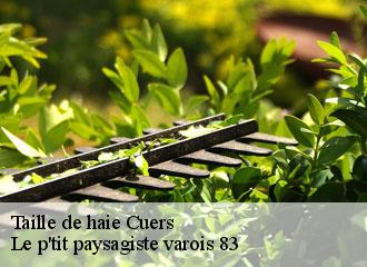 Taille de haie  cuers-83390 Le p'tit paysagiste varois 83 