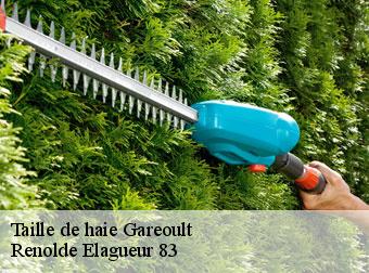 Taille de haie gareoult-83136 Renolde Elagueur 83