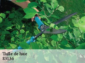 Taille de haie 83136