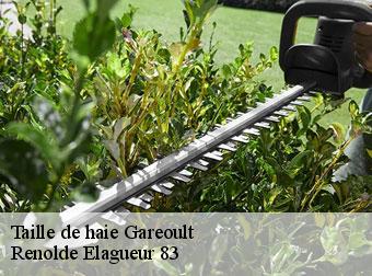 Taille de haie 83136