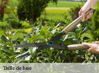 Taille de haie 83136
