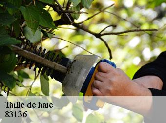 Taille de haie 83136