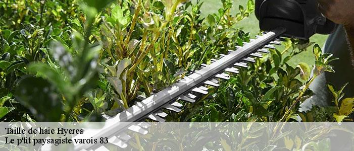 Taille de haie  83400