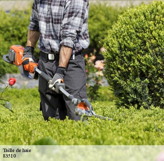 Taille de haie  83510