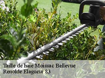 Taille de haie 83630