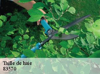 Taille de haie 83570