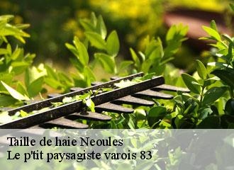 Taille de haie  neoules-83136 Le p'tit paysagiste varois 83