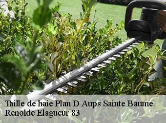 Taille de haie 83640