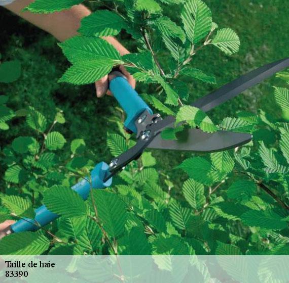 Taille de haie  83390