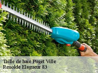 Taille de haie puget-ville-83390 Renolde Elagueur 83