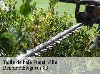 Taille de haie 83390
