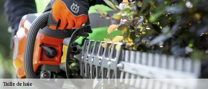 Taille de haie 83560
