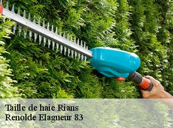 Taille de haie rians-83560 Renolde Elagueur 83