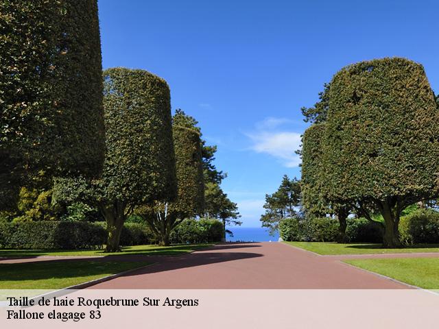 Taille de haie  roquebrune-sur-argens-83520 Fallone elagage 83